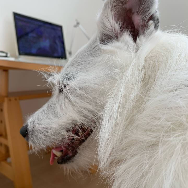 104e6613 9f0b 4f20 8965 bb08d5986e1b 1658193624014