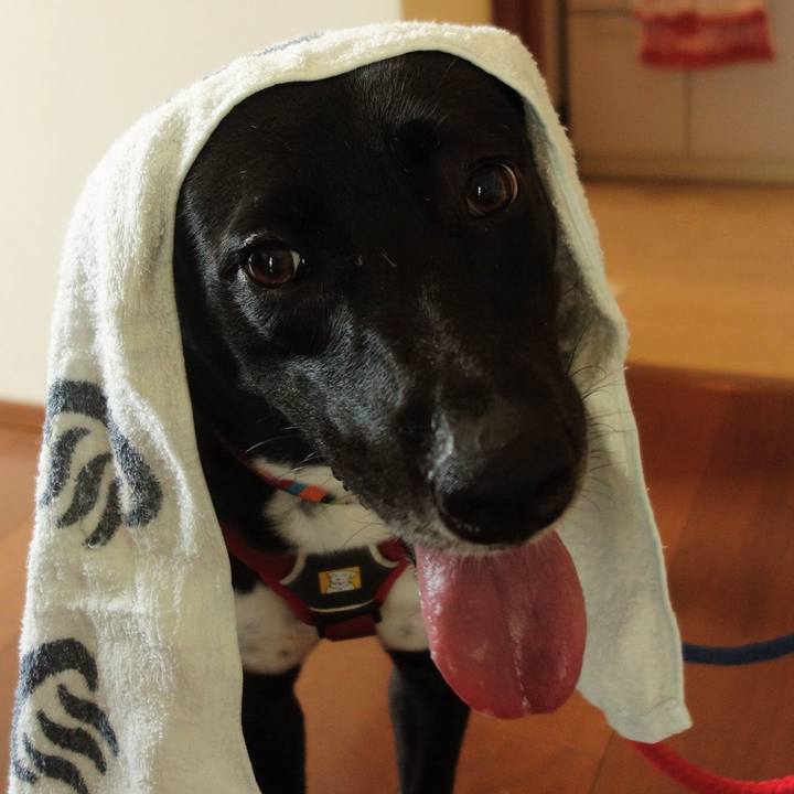 104e66c5 105c 4839 adae eca1ca43a680 1596952305932