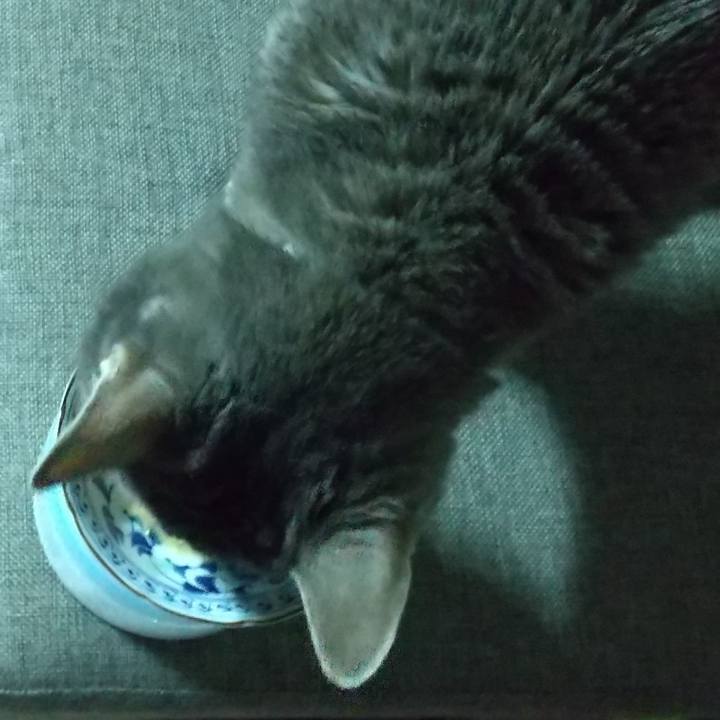 104e9cab 735a 4c17 9820 69f77bd76e7a 1679521169968