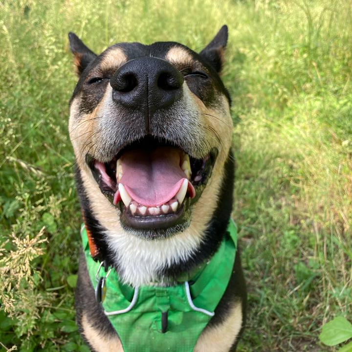 104eb82a 570a 467c 8d84 2783629f93e5 1590883577611