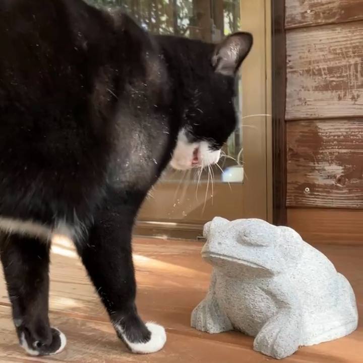 104ebb0d 0acf 430f 83e5 7a90182eeb68 1734144652680