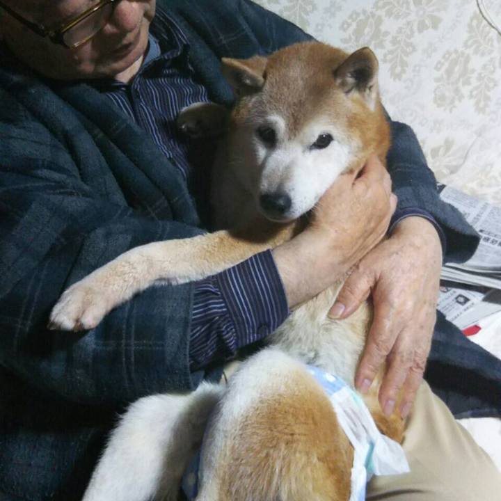 104ee409 c5af 4a3d a5cb 792218188f38 1521030613791