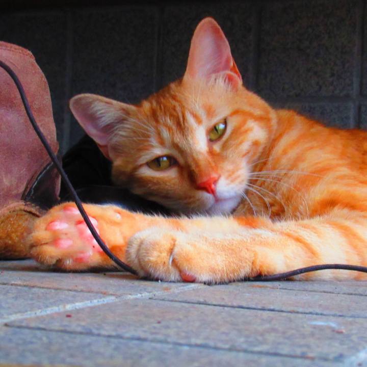 104eeebf 5599 4d9d b22d f5d8483c4c29 1535166238480