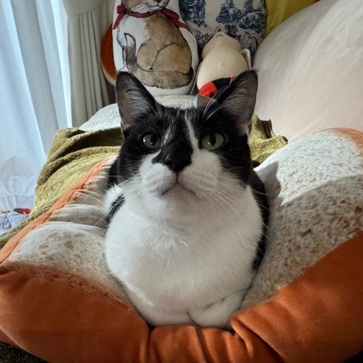 104f1e97 a55f 4c2a 921a 5f28bab7054a 1773716803815