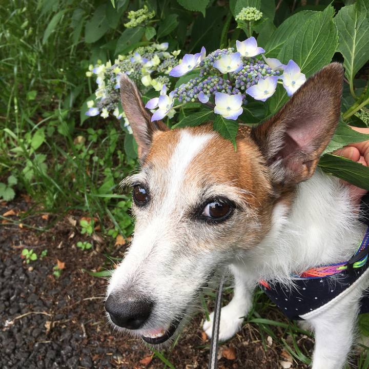 104f3b56 32c6 489b a568 9c5d86f0f9e9 1655421765938