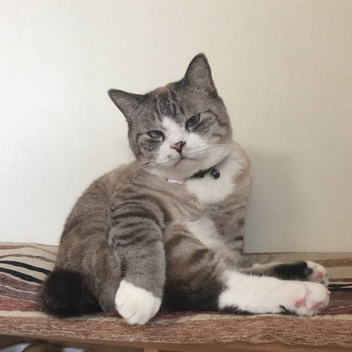 104f41f2 8a6a 439f 91df 3d3fe61be08e 1517103448951