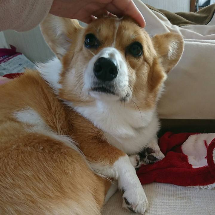 104f588f 042c 4f4e 82bd 960aa88d3092 1513228544612