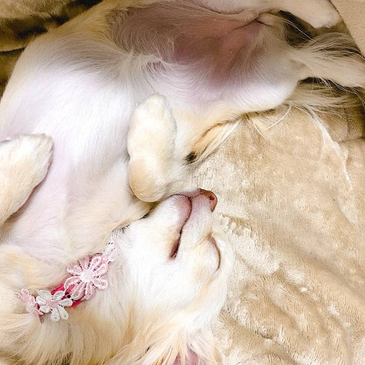 104f9df4 5258 4f8e 947e a2c38d9c0f13 1614852246272