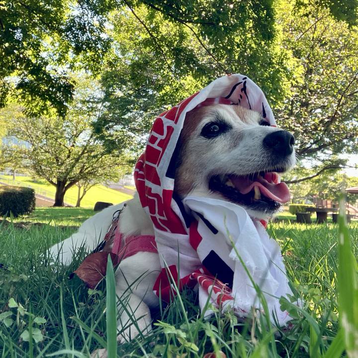 104fa0b4 af62 4bce 859d 292f44487549 1723893831229