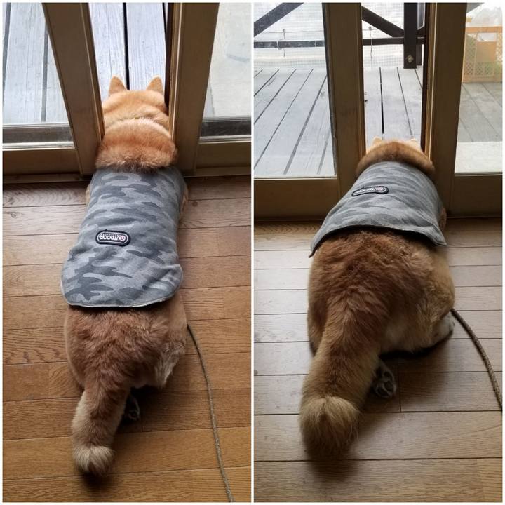 104fcde9 0f89 4ab3 a3d5 4ec748ba1b6e 1680734665925