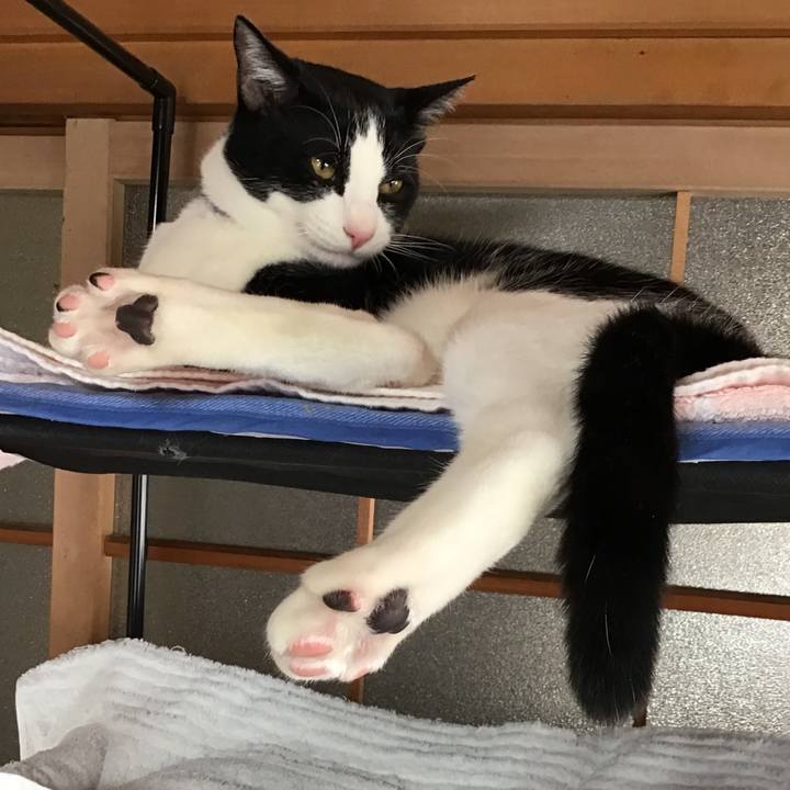 10507b2e 9f74 4c30 90b3 f899b3aee1d2 1637036426487