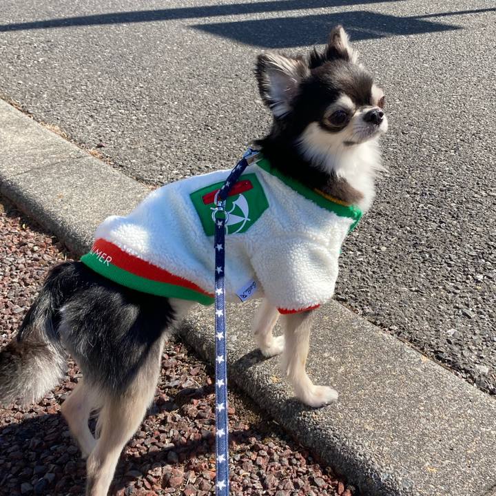 10508cbf e5ea 4d3f 8f73 f9e7f99058c4 1645587362274