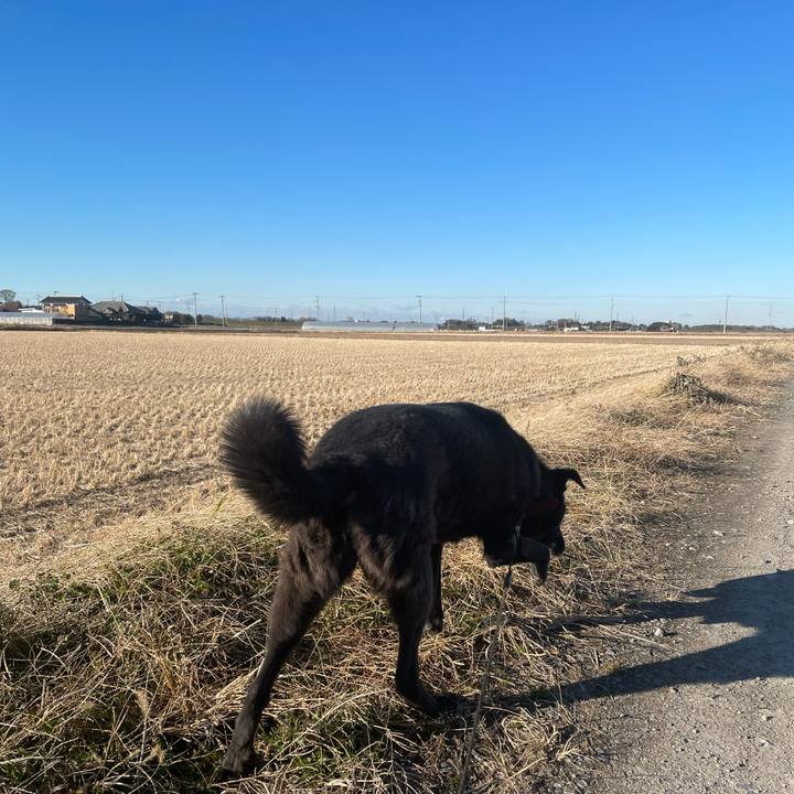 1050a7ef 33df 44b1 aa84 ef6bac9d9979 1672118788204