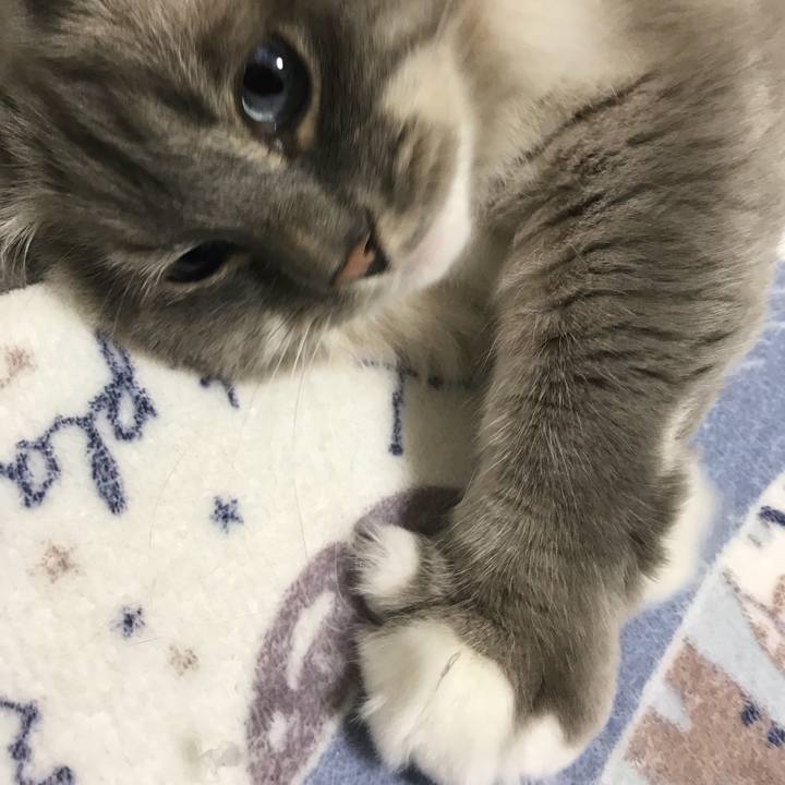 1050c7bf bd6d 42c8 bd27 52c1989162a6 1515890796565