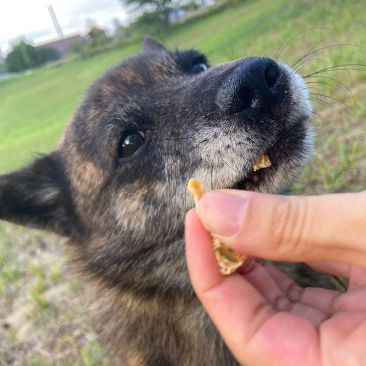 1050e638 af26 481f bd4a db44cdd6ecf3 1598089079989