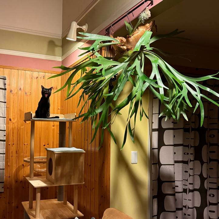 10513553 6a53 460e 9bb6 40eecd803d89 1761868928941