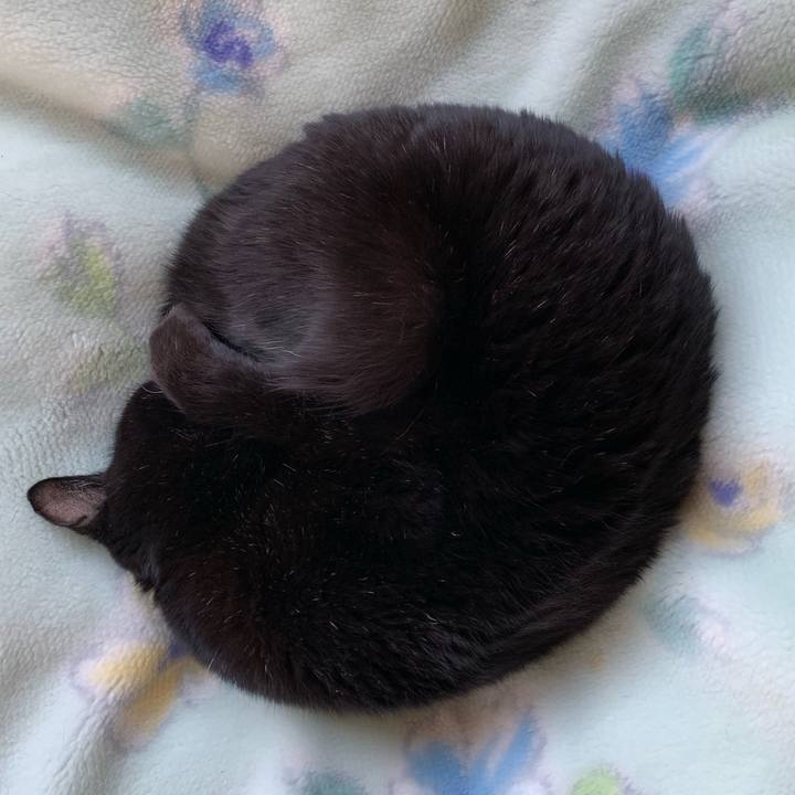 10514ede 5cd9 4795 b374 7be4bd4526b6 1555802900585