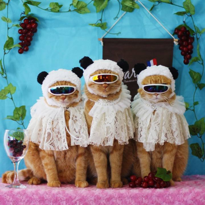 10515ae8 237d 4d59 98c2 40c3b193ac91 1636189757482