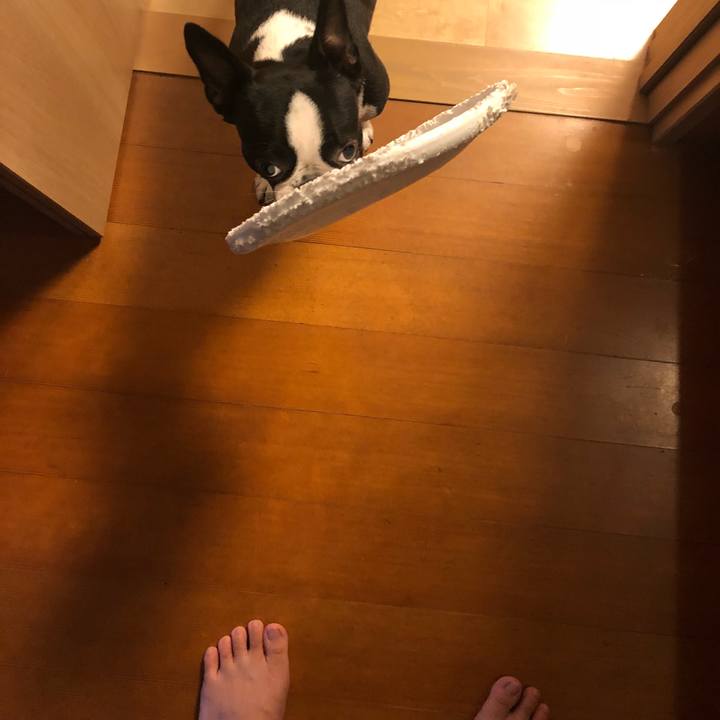 10517423 f25f 4319 aaa6 e6af1476d2a8 1536552868062