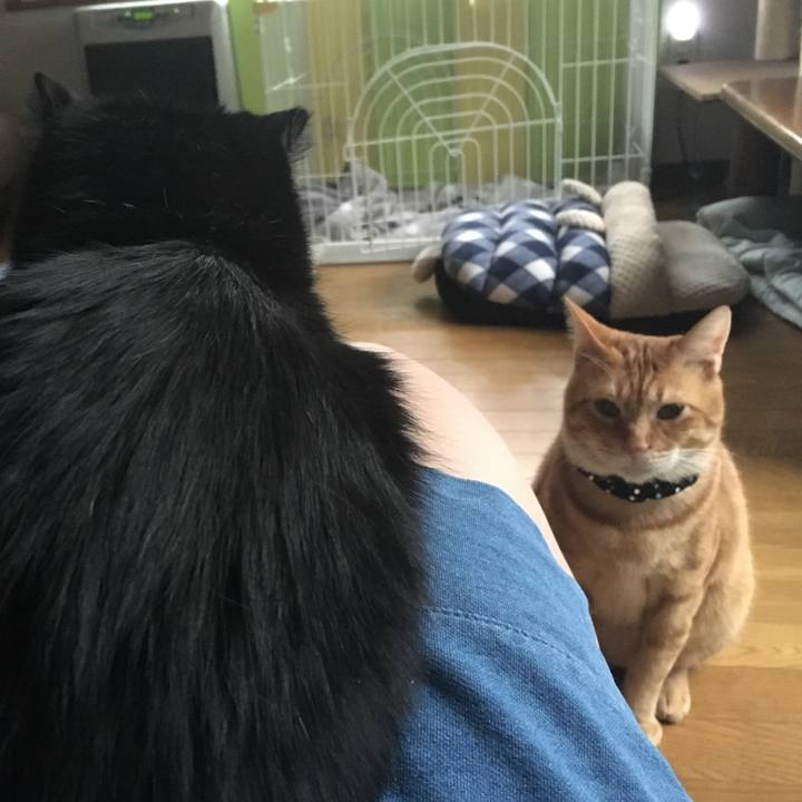 10517a5a 462f 41eb 90c3 d8c40fa15efb 1540592913411