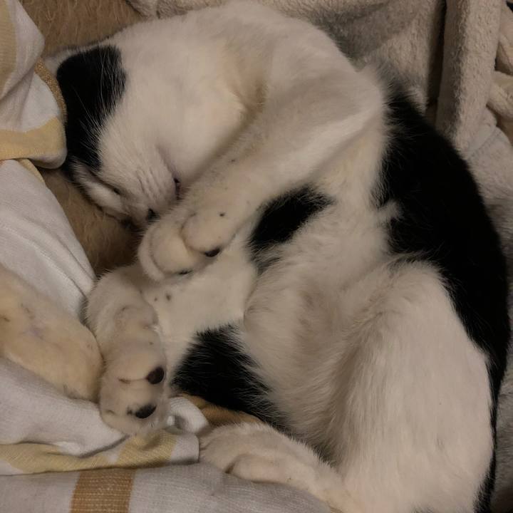 1051a2d6 6b67 4892 a92c c235baae472e 1546536250588