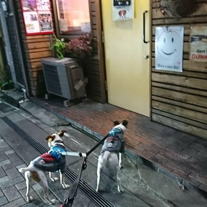 1051b7d5 81f1 4726 8223 4d5c01cc46b5 1543702385826