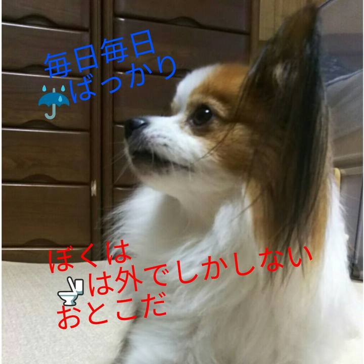 1051cc7a 17a9 4b84 a86c 989abe25c53a 1508238047206