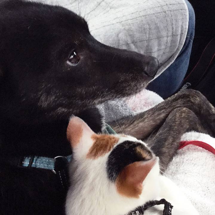 10521668 1326 4c36 8fb3 1096078c642f 1634553449165