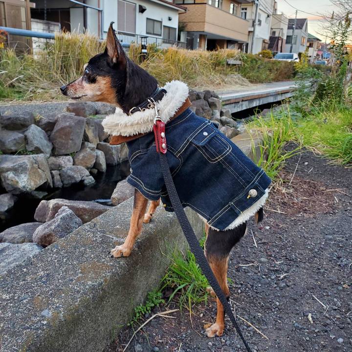 1052195d 5e25 42cc 8afc 32a661328a95 1672480189724