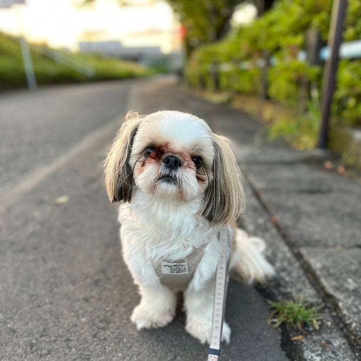 10521d02 d22b 4243 a21c 18c34de8963d 1682565635261