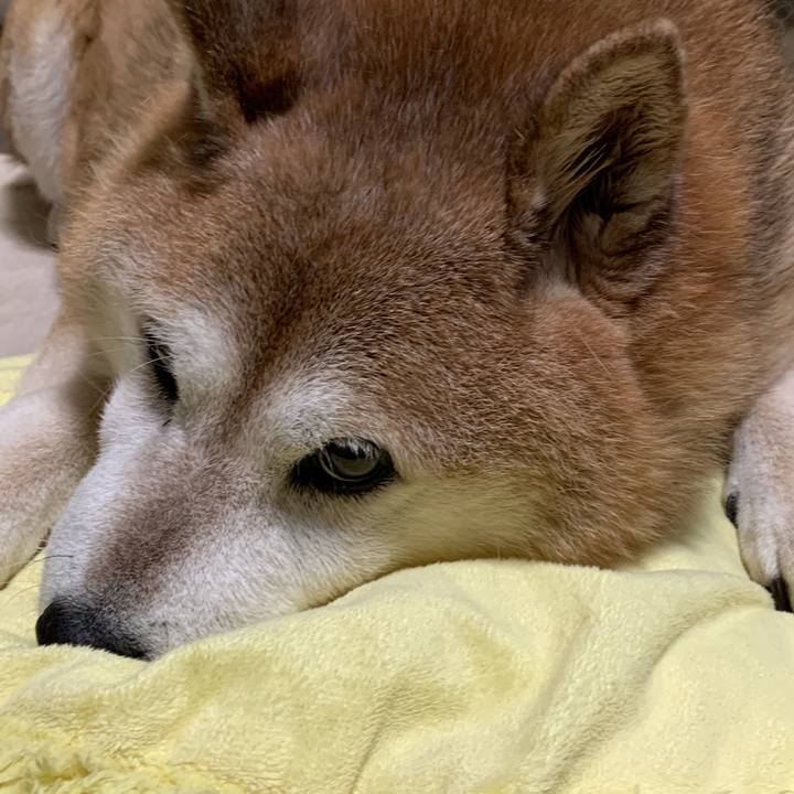 10528111 bb09 412e 9985 f3d7cdb7ddb4 1566045963468