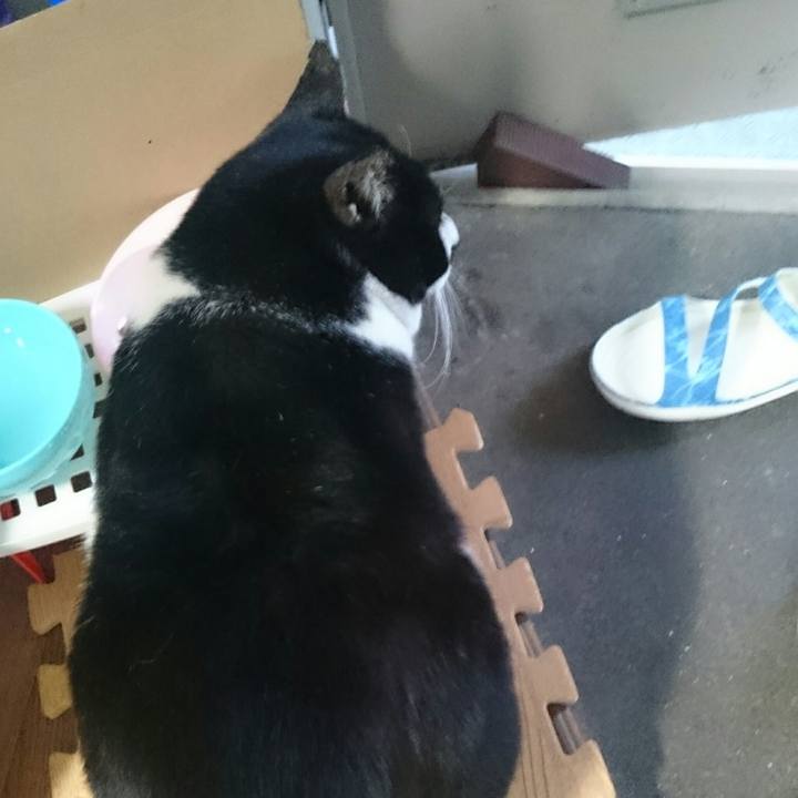 1052b666 0c5c 4269 87e3 05e5ab05987a 1515555619426