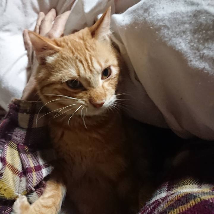 1052d44a b228 4a54 8ea7 7f286365e8e0 1643318620907