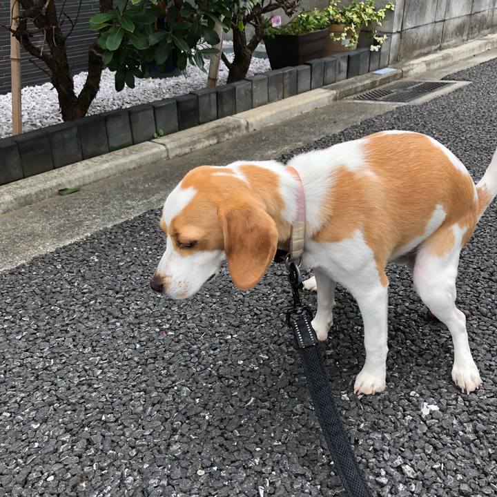 10533118 cce3 401e 8e26 87b3c30fc3cd 1537503820978