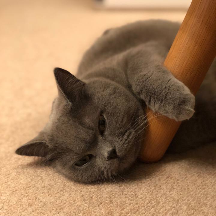 105339aa 849c 44a0 8d17 561c590d8f49 1517841499123