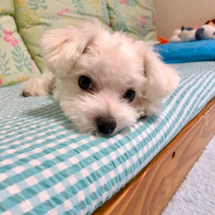 10534d3f 339e 4842 9b04 321e55586fbf 1540633147030