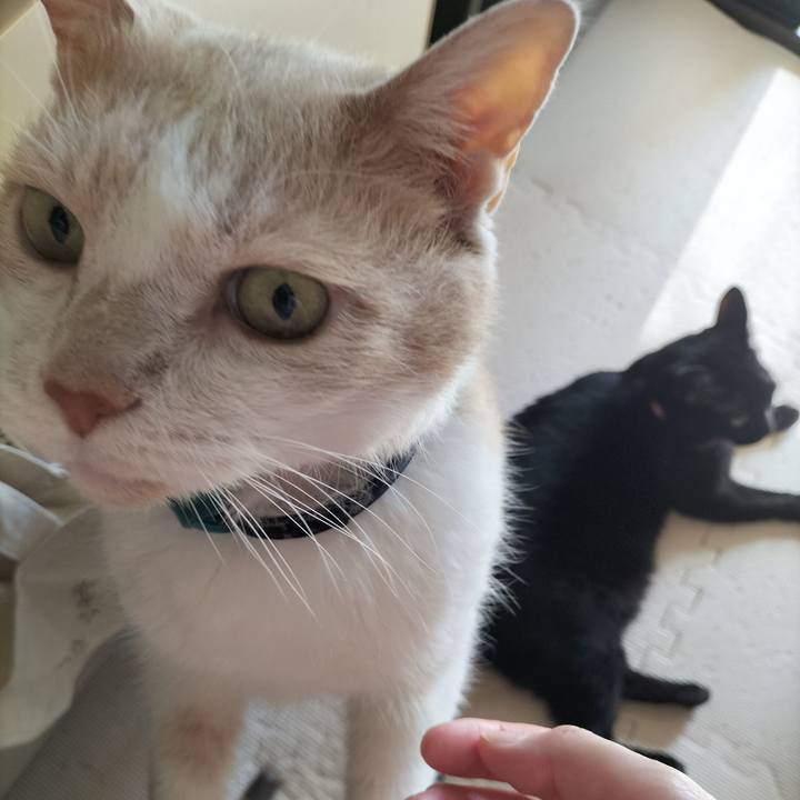 105358d8 944c 4902 8777 2ca7aa2b075c 1659221409459