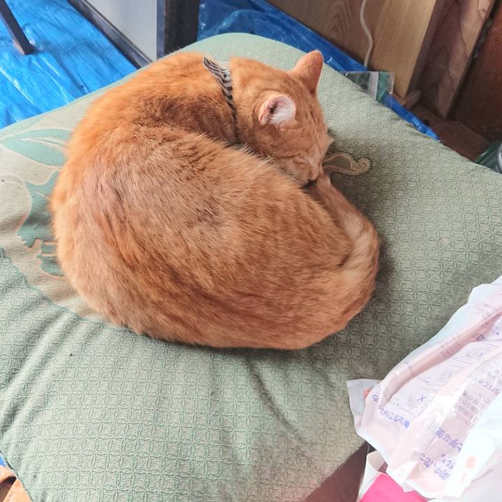 105368ad 476a 41d6 8146 bd333a88b838 1571453765249