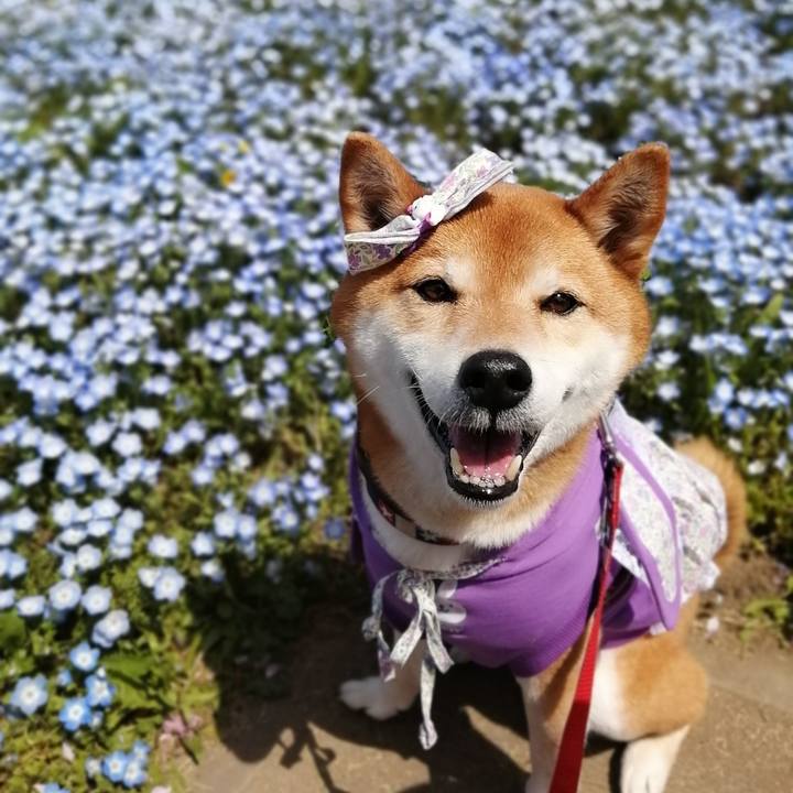 10537099 37dc 4d7d a39c 84e7078b22e2 1681209087162