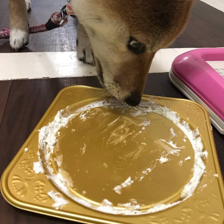 105379c4 984b 4a2e a48f ba88b4e344a1 1545658485482