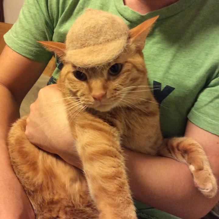 10538797 af76 40b8 900b 3f2f76a2f79b 1508500109122