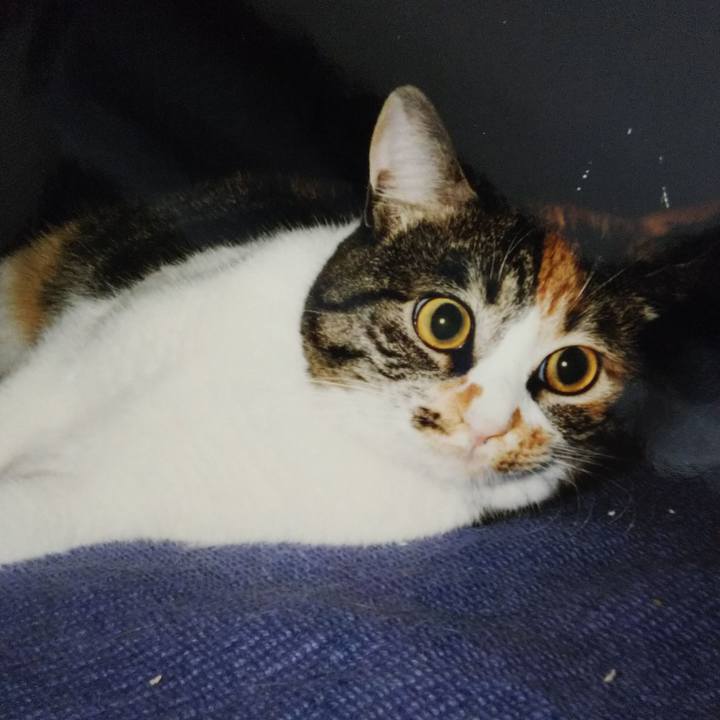 1053b90b dc7b 4df7 9b4c 39824ed2cdc9 1547637062521