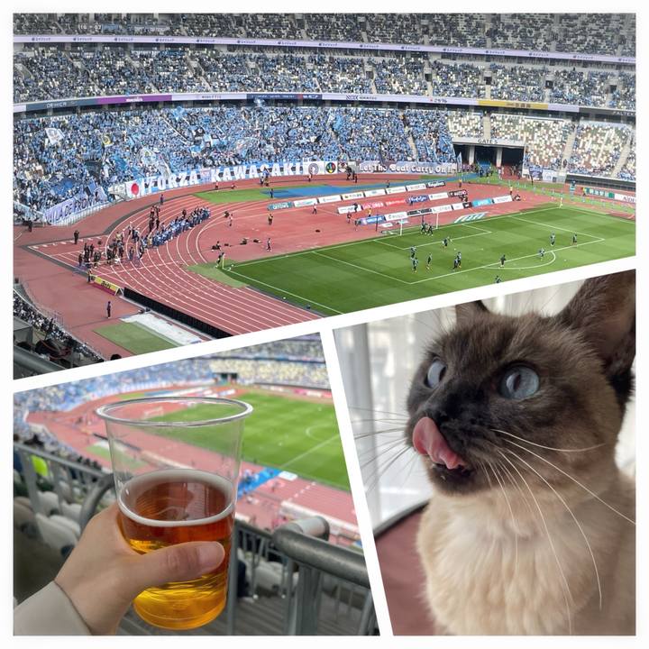 1053bb89 870f 4e73 b5ac 969625be47c1 1774157956228