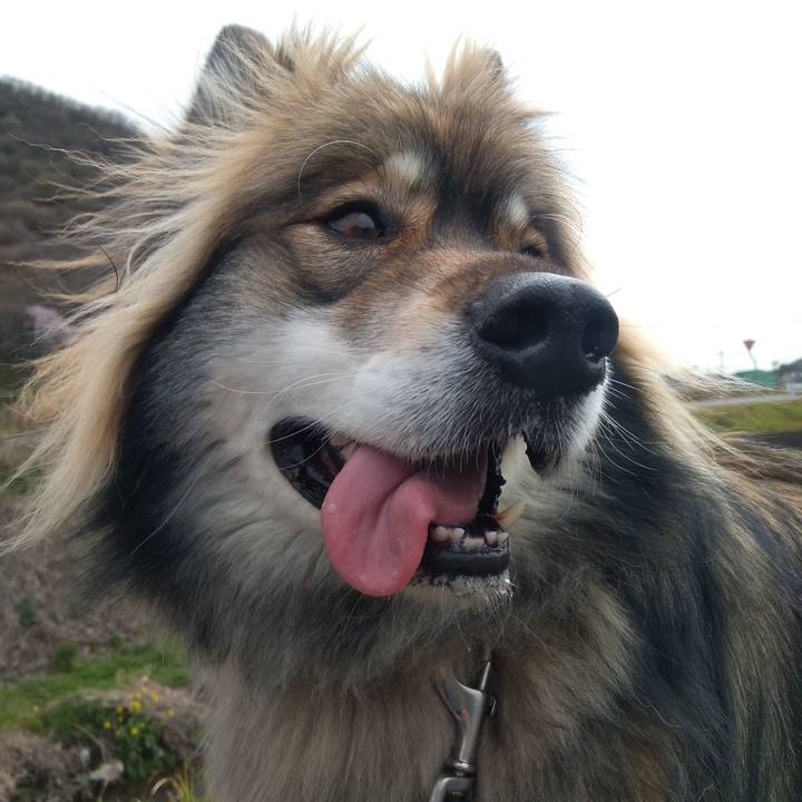 1053be55 2e09 4724 b0ae a74e48f49d8c 1585636364240