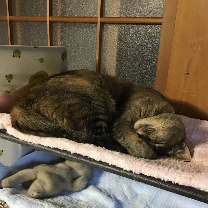 1053c594 1b87 4cd1 bd0f 93bfcdcd0ebc 1627808997443