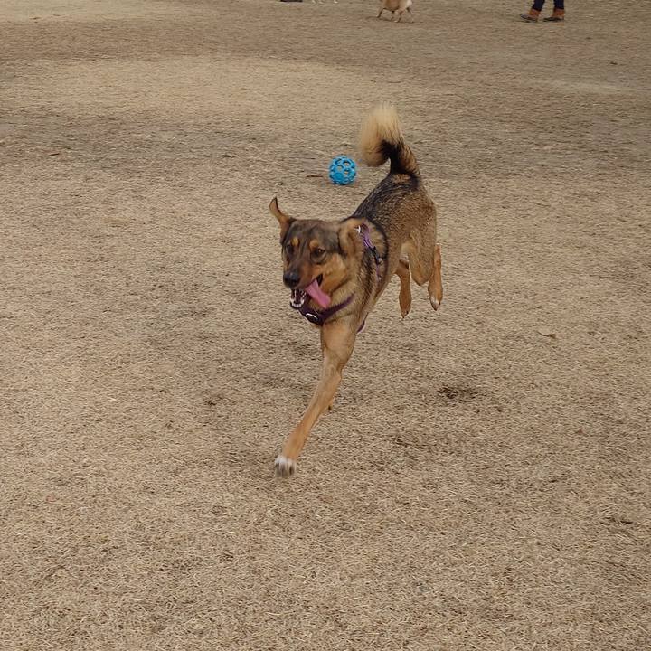 1053dffc acc9 4725 af03 dd746ac81a3a 1736643888985