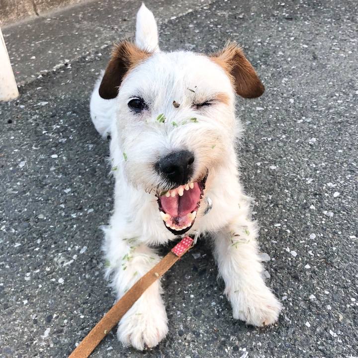 1053e556 907a 498c b822 be7127092c14 1558926666226