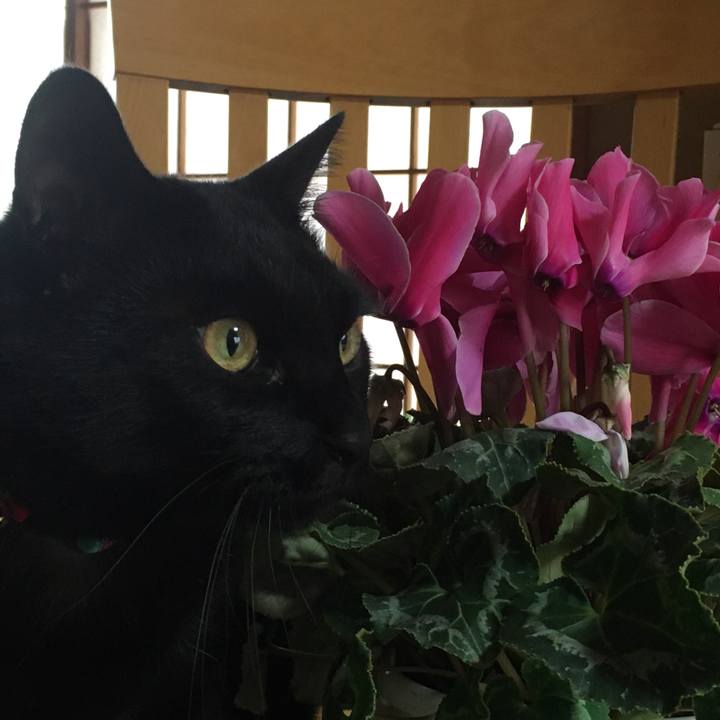 1054076e cc65 4e90 888b 8c115430970b 1576026013650