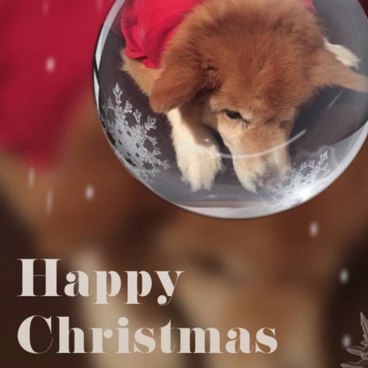 1054228c 1f1e 47be 88a3 c8c68485311d 1640394988780