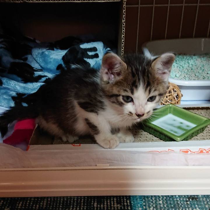 105426fa 6a3e 47bd b643 c2818579ccef 1547196598765